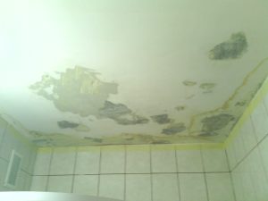 zobafestő Zuglóban Budapesten SZOBAFESTÉS MÁZOLÁS TAPÉTÁZÁS LAMINÁLT PARKETTA LERAKÁS